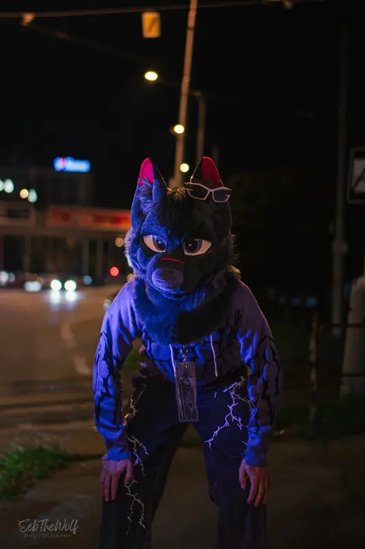 _DSC0198