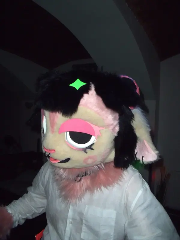 DSCF6729