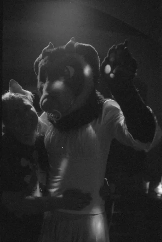 rave-12