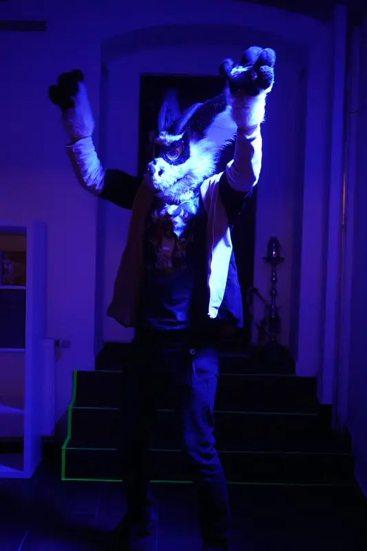 DSC09576