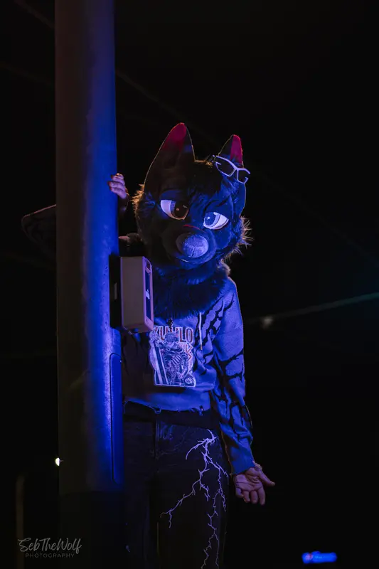 _DSC0212