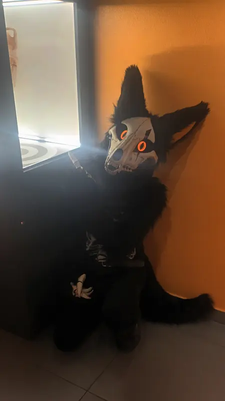 20261017_183436