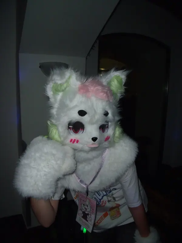 DSCF6682
