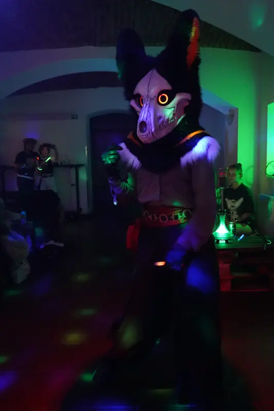 DSC08072