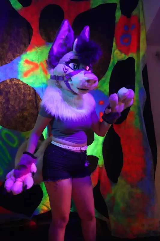 DSC08395