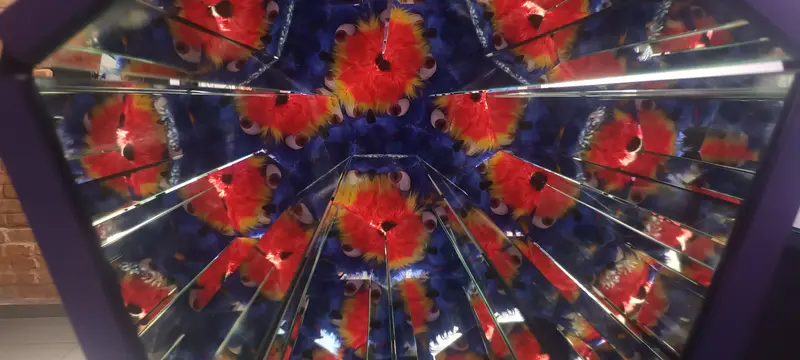 20261017_182233