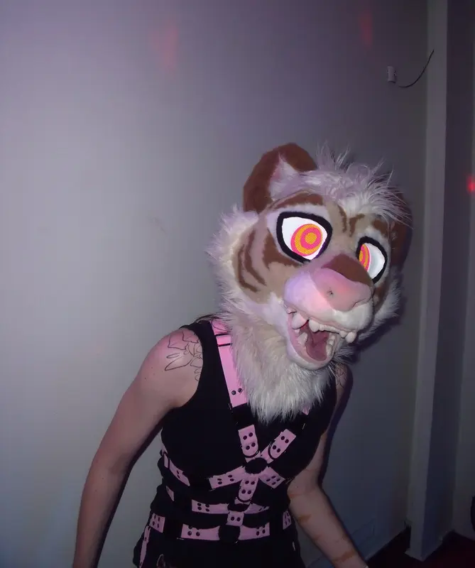 DSCF6676